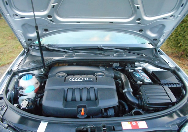 Audi A3 cena 11900 przebieg: 220000, rok produkcji 2004 z Kolbuszowa małe 407